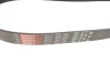 Ремінь генератора Mazda MPV II 2.0D 02-06 GATES Gates 8PK1230 (фото 2)