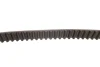 Комплект ГРМ Opel Astra F/Vectra B 1.4/1.6 16V 94-05 GATES Gates K015369XS (фото 3)