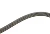 Комплект ременя генератора Renault Kangoo 1.4i/1.6i 97- GATES Gates K015PK1113 (фото 3)