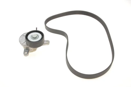Комплект ременя генератора VW Caddy IV 2.0 TDI 15- (6PK1025) GATES Gates K016PK1025
