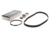 Комплект ГРМ Hyundai Santa Fe 2.0i 94-96/Mitsubishi Outlander 2.0/2.4 03-07 GATES Gates K025255XS