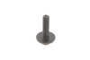 Комплект ГРМ Mazda 2/Ford Fiesta/Focus/Volvo S40/V50 1.25i-1.6 16V 95- (22x117z) GATES Gates K025433XS (фото 2)