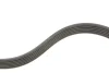 Комплект ременя генератора Citroen Berlingo/Peugeot Partner 1.6 HDi 08- (6PK975) GATES Gates K026PK975 (фото 6)
