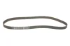 Комплект ГРМ Citroen Berlingo/Jumpy 2.0HDi 99-11 (25x141z) GATES Gates K035524XS (фото 5)