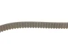 Комплект ГРМ Audi A3/A4/A6/Skoda Octavia/VW Golf/Passat 2.0 FSI 04- GATES Gates K035604XS (фото 3)