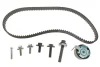 Комплект ГРМ Ford Mondeo/Focus 1.4/1.6i 03-/Volvo C30/S40/V50 1.6 05-12 (22x117z) GATES Gates K045669XS (фото 1)