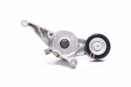 Натяжник ременя генератора VW 1.9/2.0TDI GATES Gates T38436