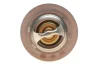 Термостат Ford Transit 2.5D/TD 86-99 GATES Gates TH12588G1 (фото 4)