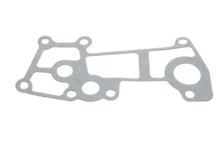 Прокладка радіатора масляного Citroen Jumper/Fiat Ducato/Iveco Daily 3.0 D 06- GAZO GZ-A1534