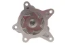 Помпа води Hyundai Accent/Elantra/i20/i30/i40/ix20/Tucson/Kia Ceed/Sportage 1.4/1.6 10- (R/B)(6 лоп) GRAF PA1136 (фото 3)