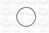 Помпа води Opel Corsa A/Kadett E/Vectra A/Ascona C 1.4i/S/Si/1.6i/GSI 86-95 (19z) (B/B) (8 лоп) GRAF PA443 (фото 2)