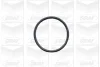 Помпа води BMW 3/5/7 318tds/325td/tds/525td/tds/725tds 91-04/Opel Omega B 2.5D/TD 94- (R/B) (7 лоп.) GRAF PA502A (фото 2)