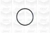 Помпа води Seat Cordoba/Ibiza/Skoda Octavia/VW Caddy/Golf/Polo 1.4i/1.6i 95-09 (27z) (B/B) (7 лоп) GRAF PA603 (фото 2)
