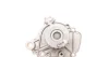 Помпа води Honda Accord VI 1.6/i/LS/Civic V/VI 1.4-1.6 16V 95-02/HR-V 1.6 16V 99- (19z)(B/B)(7лоп) GRAF PA669 (фото 4)