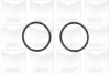 Помпа води Audi A4/A6/VW Passat 1.6/1.8/1.8T/quattro 94-05 (B/B) (7 лоп.) GRAF PA779 (фото 2)