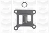 Помпа води Ford Transit VII 2.0DI/TDCi 00-06/Mondeo III 2.0/2.2TDCi 00-07 (B/B) (8 лоп.)(з корпусом) GRAF PA807 (фото 2)