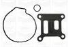 Помпа води Ford Transit VII 2.0DI/TDCi 00-06/Mondeo III 2.0/2.2TDCi 00-07 (B/B) (8 лоп.) (без корп.) GRAF PA839 (фото 2)