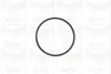Помпа води Citroen C2/C3/C4/Peugeot 206/307 1.4 16V 03- (18z) (B/B) (6 лоп.) GRAF PA941 (фото 2)