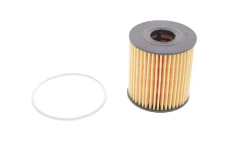 Фільтр масляний Ford Transit/Citroen Jumper 2.2HDI/2.4TDCi 06-/Peugeot 2.0HDI 03- E44H D110 HENGST FILTER E44H-D110
