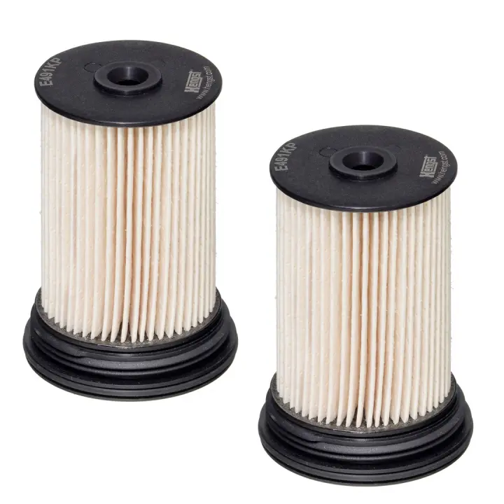 Фільтр паливний Chevrolet Captiva 2.2D 4WD 11-/Opel Antara 2.0/2.2 CDTi 10- (к-кт) E491KP D489-2 HENGST FILTER E491KP-D489-2 (фото 1)