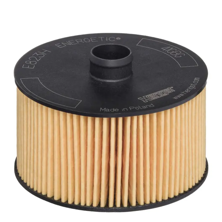 Фільтр масляний Renault Kangoo/Megane III/IV/Scenic III/IV 1.2TCe 12- E823H D263 HENGST FILTER E823H-D263 (фото 1)