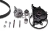 Комплект ГРМ VW Caddy IV/Crafter/T6 2.0 TDI 15- (145x25) (ремінь насоса масляного + сальник колінвалу) HEPU 20-2135 (фото 1)