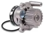 Помпа води VW Caddy 1.9TDI/SDI (AYQ) 96-04/Golf IV/Skoda Octavia (19z) HEPU P549