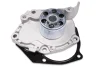 Помпа води Renault Scenic III 1.9 dCi 08-/ Suzuki Grand Vitara II 1.9 DDiS 05-15 HEPU P966