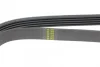 Ремінь генератора Toyota Camry/ Celica/ Rav4 1.8-2.0 83-00 1000 K 5 HUTCHINSON 1000-K-5 (фото 3)