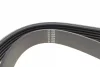 Ремінь генератора Ford Fiesta VI 1.25 08- (6PK1024) 1024 SK 6 HUTCHINSON 1024-SK-6 (фото 3)