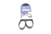 Ремінь генератора Ford Focus/Kuga 1.5EcoBoost 14- (6PK1027) 1027 SK 6 HUTCHINSON 1027-SK-6 (фото 1)