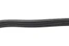 Ремінь генератора VW Golf III/Passat/T4 1.9D/TD (TP) 1045 K 6 HUTCHINSON 1045-K-6 (фото 2)