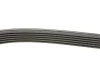 Ремінь генератора Peugeot 301 1.6 VTi 12-17 1055 K 6 HUTCHINSON 1055-K-6 (фото 2)