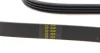 Ремінь генератора Fiat/Lancia/Nissan/Subaru (4PK1100) 1100 K 4 HUTCHINSON 1100-K-4 (фото 2)