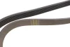 Ремінь генератора Renault Kangoo 1.4i 98-/ 1.6i 02- (5PK1110) 1110 K 5 HUTCHINSON 1110-K-5 (фото 3)