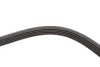 Ремінь генератора Renault Kangoo 1.4i 98-/ 1.6i 02- (5PK1110) 1110 K 5 HUTCHINSON 1110-K-5 (фото 4)