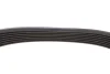 Ремінь генератора Renault Master/Opel Movano 2.5CDTI/dCi 06- (7PK1110) 1110 K 7 HUTCHINSON 1110-K-7 (фото 4)