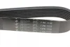 Ремінь генератора Renault Clio 2.0i 06- 1132 K 7 HUTCHINSON 1132-K-7 (фото 4)