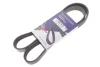 Ремінь генератора Fiat Doblo 1.3D Multijet/Ducato 2.0JTD 01-/VW Caddy 1.4/1.6 96- (6PK1180) 1180 K 6 HUTCHINSON 1180-K-6 (фото 2)