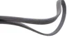 Ремінь генератора VW T5 1.9TDI/VW Caddy III 1.9TDI/2.0 (6DPK1195) 1195 KDF 6 HUTCHINSON 1195-KDF-6 (фото 2)