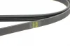 Ремінь генератора Renault Megane I 1.6e/1.4i/1.6i 96-03 1270 K 4 HUTCHINSON 1270-K-4 (фото 4)