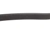 Ремінь генератора Citroen Berlingo/Jumpy/Peugeot Expert/Partner 1.6HDI (6PK1355) 1355 K 6 HUTCHINSON 1355-K-6 (фото 3)