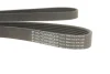 Ремінь генератора Citroen Berlingo/Fiat Scudo 1.9D (6PK1435) 1435 K 6 HUTCHINSON 1435-K-6 (фото 3)