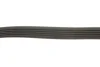 Ремінь генератора Citroen Berlingo/Fiat Scudo 1.9D (6PK1435) 1435 K 6 HUTCHINSON 1435-K-6 (фото 4)