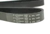 Ремінь генератора Peugeot/Citroen 1.4i (6PK1454) 1454 K 6 HUTCHINSON 1454-K-6 (фото 3)