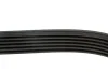 Ремінь генератора Peugeot/Citroen 1.4i (6PK1454) 1454 K 6 HUTCHINSON 1454-K-6 (фото 4)