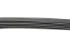Ремінь генератора Citroen C5/Renault Laguna 3.0i 01- 1585 K 6 HUTCHINSON 1585-K-6 (фото 2)