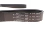 Ремінь генератора Chrysler Cruiser 2.2 CRD 02-10 (6PK1600) 1600 K 6 HUTCHINSON 1600-K-6 (фото 4)