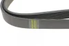 Ремінь генератора BMW 5 (E39)/7 (E38) 3.5i/4.0i 93-04 1626 K 7 HUTCHINSON 1626-K-7 (фото 3)