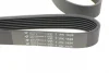 Ремінь генератора BMW 5 (E39)/7 (E38) 3.5i/4.0i 93-04 1626 K 7 HUTCHINSON 1626-K-7 (фото 4)